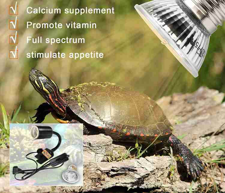 Aquarium heat lamp discount