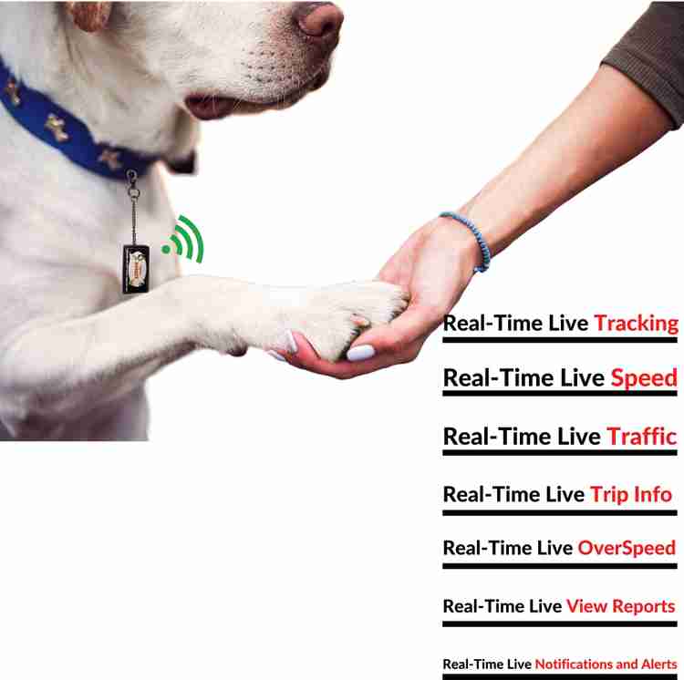 Vyncx Rocket Live GPS Tracker for baby s Pets Dogs Cats that Pet Collars Hidden Bags GPS Device Price in India Buy Vyncx Rocket Live GPS Tracker for baby s Pets Dogs