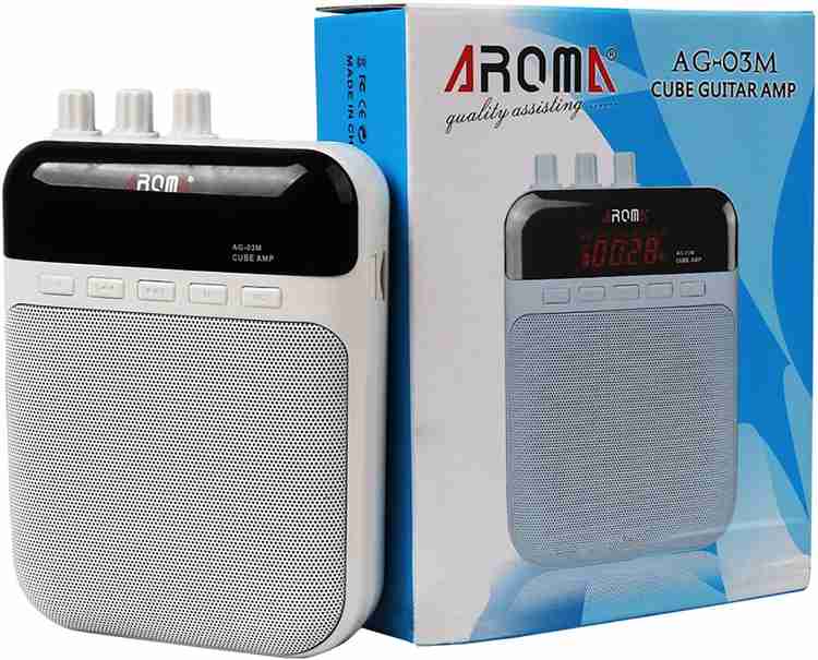 Portable guitar speaker sale