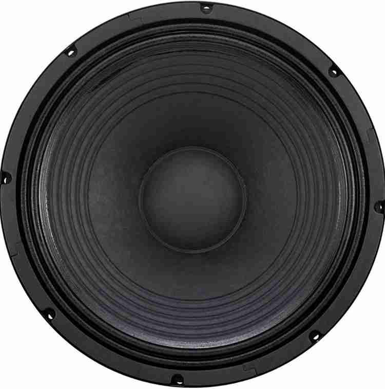 P audio 12 inch 150 watt speaker price new arrivals