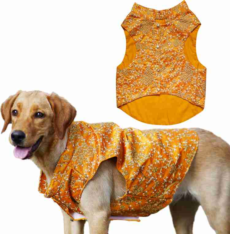 Dog dress clearance flipkart