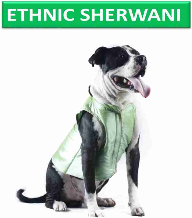 Orders dog dress flipkart