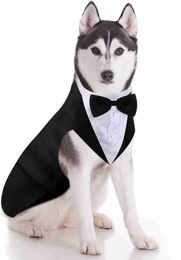 24x7eMall Tuxedo for Dog Price in India Buy 24x7eMall Tuxedo for Dog online at Flipkart