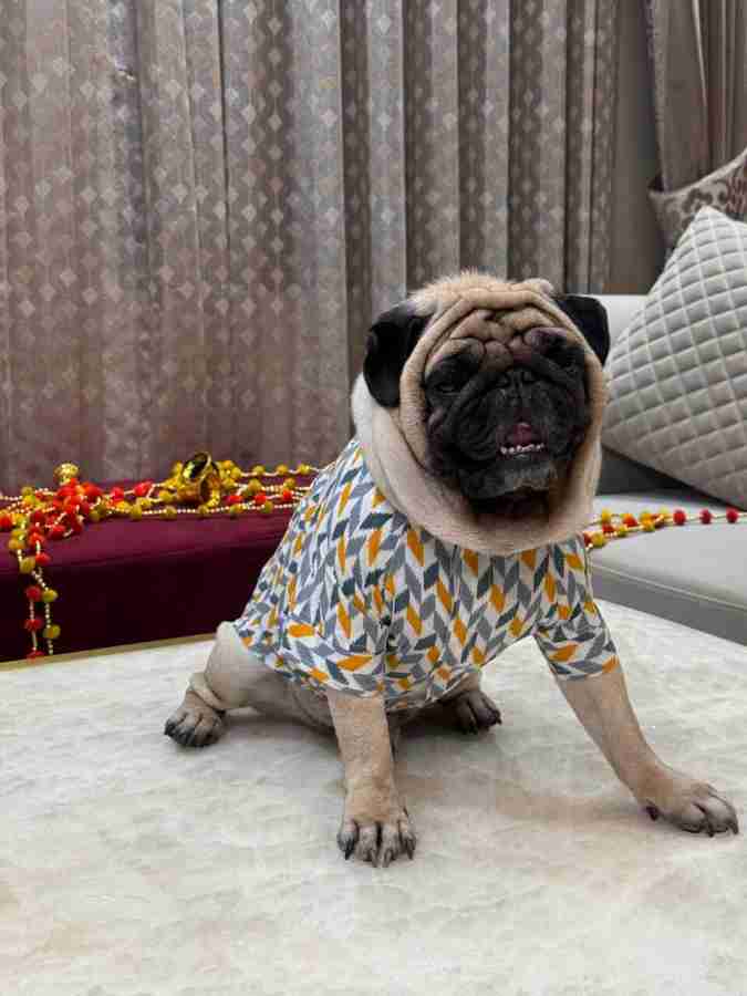 Orders dog dress flipkart