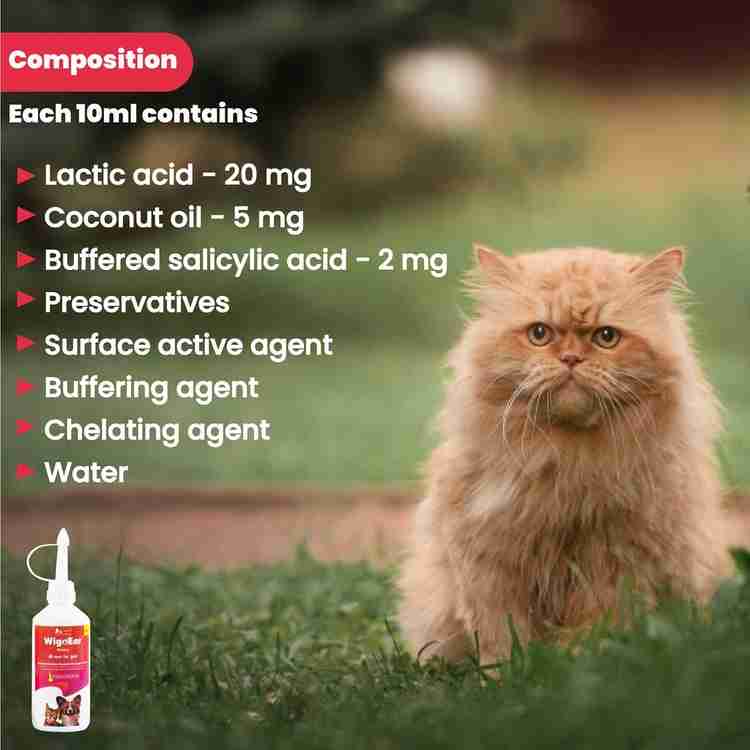 Wiggles WigoEar Dog Ear Cleaner Cleaning Solution Cat 100ml Pet Infection Liquid 100 ml Pet Ear Cleanser Price in India Buy Wiggles WigoEar Dog Ear Cleaner Cleaning Solution Cat 100ml