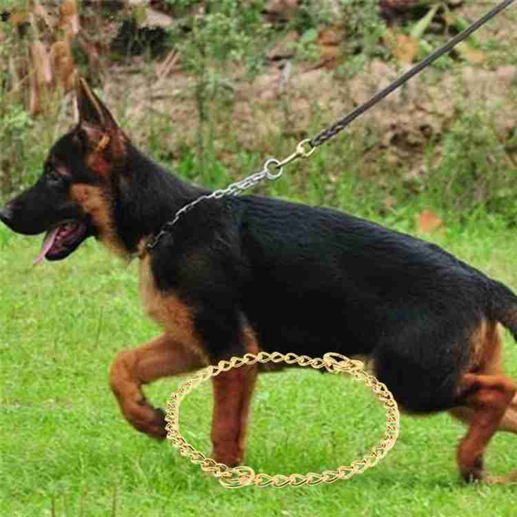 German shepherd gold chain sales