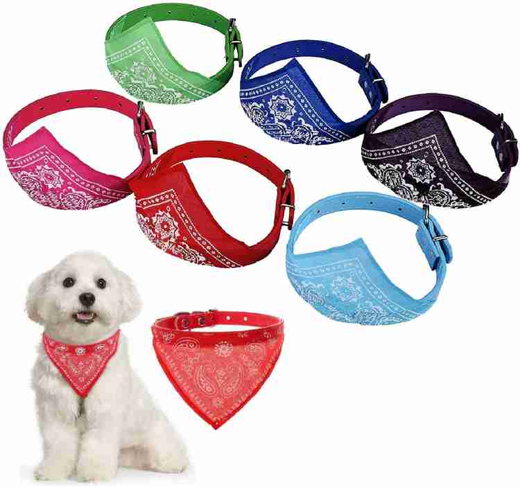 Kitten bandana collar best sale