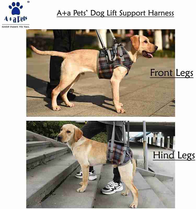 A a pets Lift Support Harness for Back Legs for Disable Aged Injured Paralysed Arthritis Dog Safety Harness Price in India Buy A a pets Lift Support Harness for Back Legs for Disable