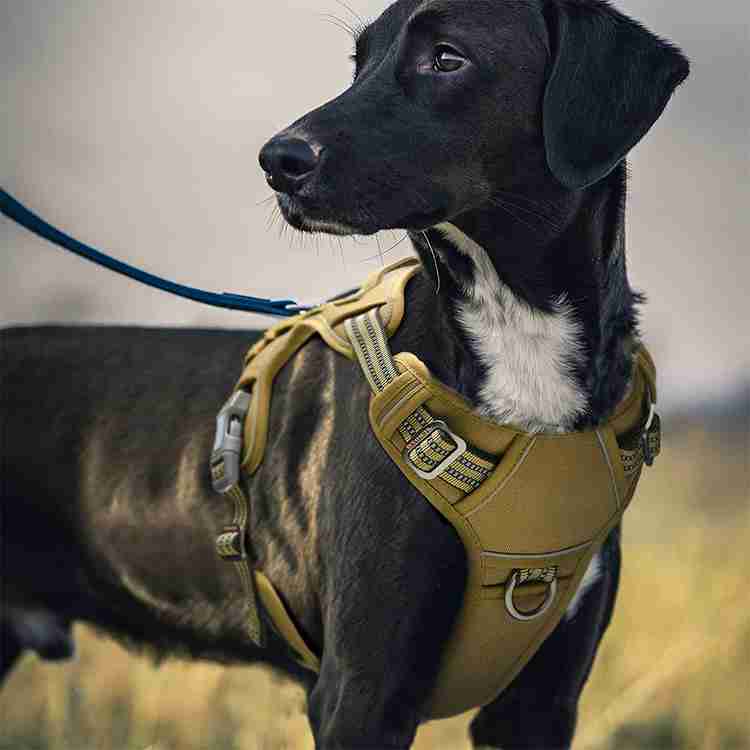 Extra large dog harness cheap