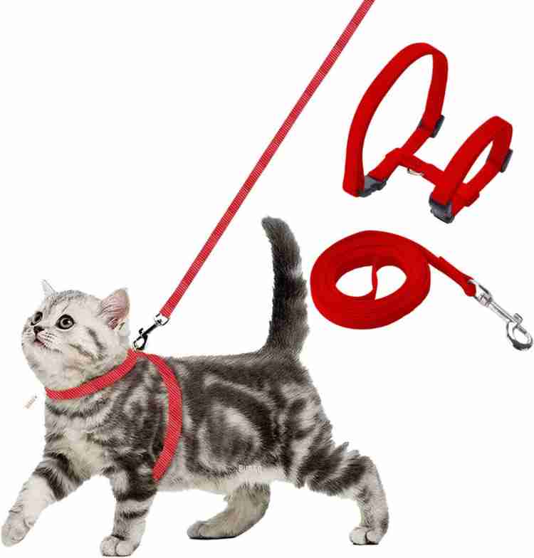 Buraq Cat Harness Full Body With Leash Set For Walking Escape Proof Cat Buckle Harness