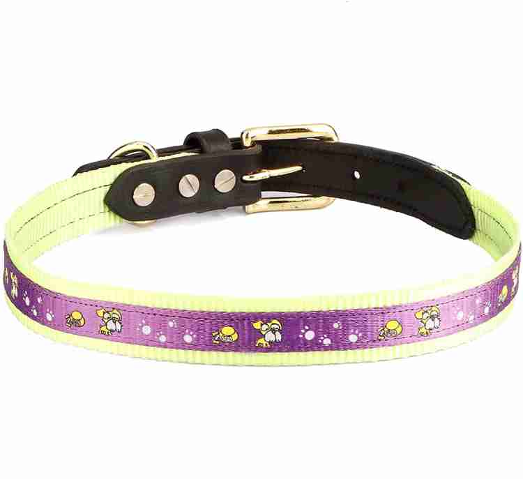 Leather Dog Collar - Small - 16 inches