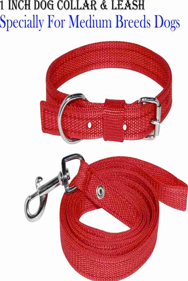 Dog belt online flipkart shop