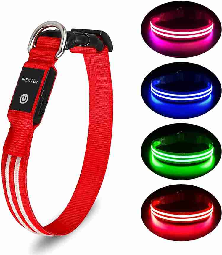Flipkart pet accessories clearance