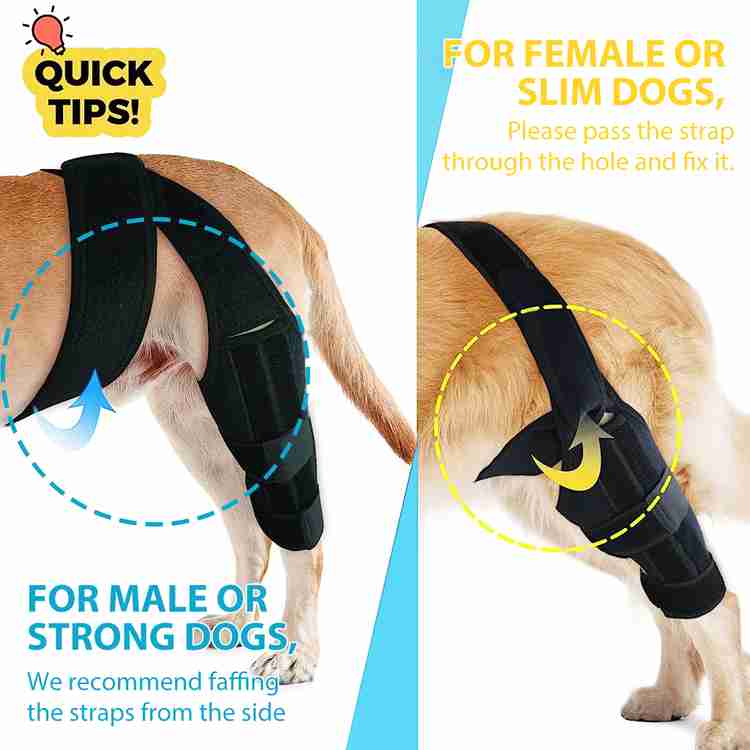 HANNEA Dog Leg Brace Dog Knee Brace Rear Leg Brace Leg Support Brace for Injured Dog Dog Standard Harness Price in India Buy HANNEA Dog Leg Brace Dog Knee Brace Rear