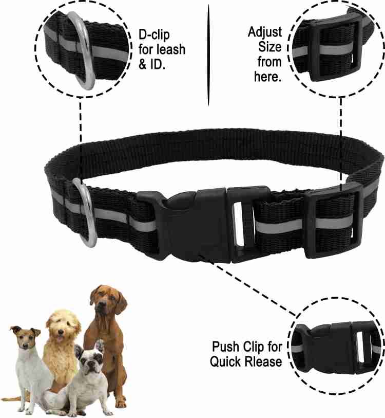 Dog sales radium belt