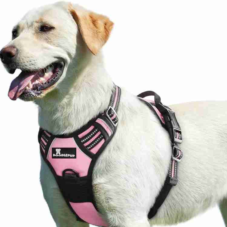 Doodlepup Dog Chest Belt for Large Dogs Min Size 38 Max 90 CM Dog Belts Dog Safety Harness Price in India Buy Doodlepup Dog Chest Belt for Large Dogs Min Size