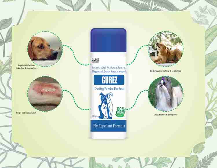 Dogs shop itching powder