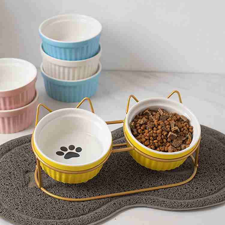 Kitten bowls new arrivals