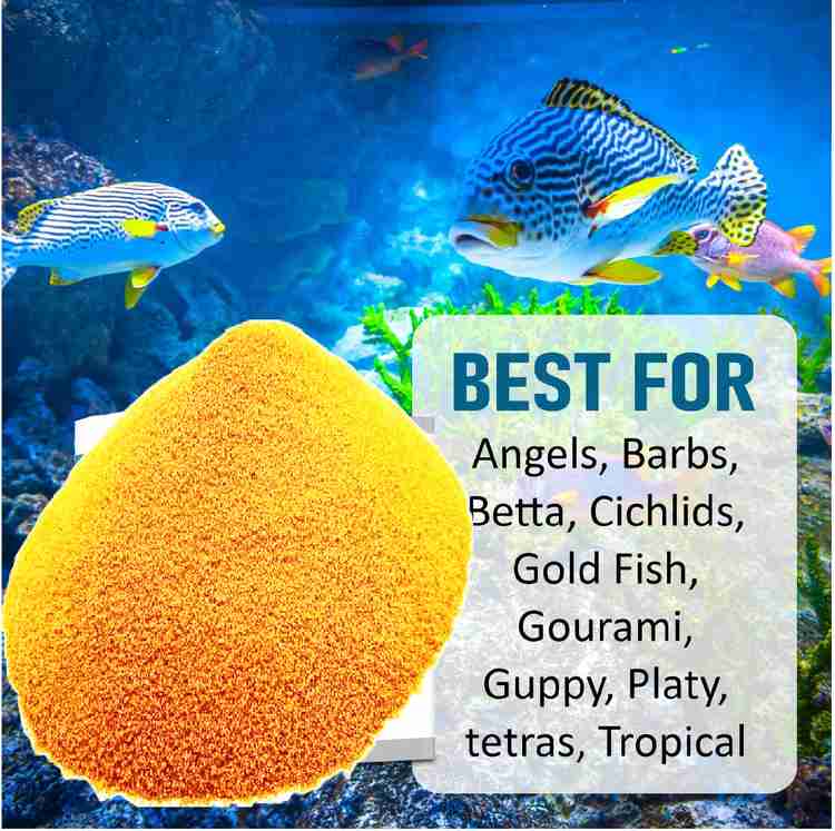 Artemia for betta fry shop