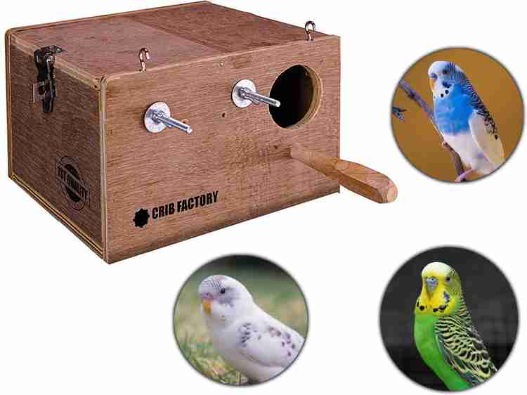 cribfactory Breeding Box for Budgerigar Bird Cage Price in India