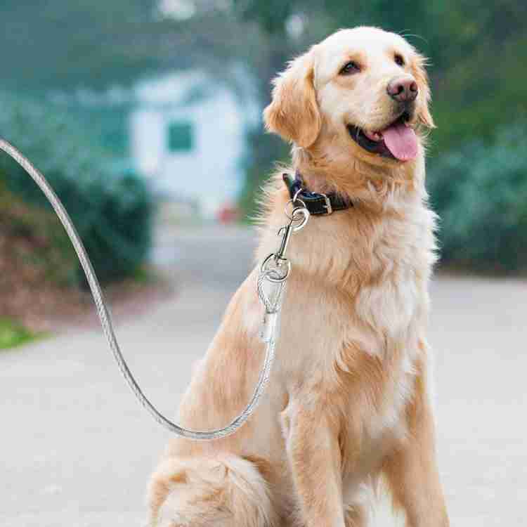DKOR HOM Dog Tie Out Cable Dog Leash Rope Heavy Duty Steel Wire Pet Runner for Playing Camping Small to Large Dogs Pets Yard Camping Outdoors 450 cm Dog Chain Leash Price in