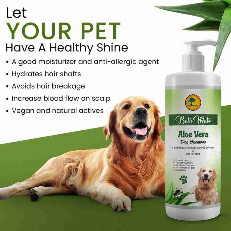 Bathmate Aloevera Dog Shampoo Gives Releif from Itching Skin Allergies Labrador Anti dandruff Conditioning Anti itching Aloevera Dog Shampoo Price in India Buy Bathmate Aloevera Dog Shampoo Gives Rele...