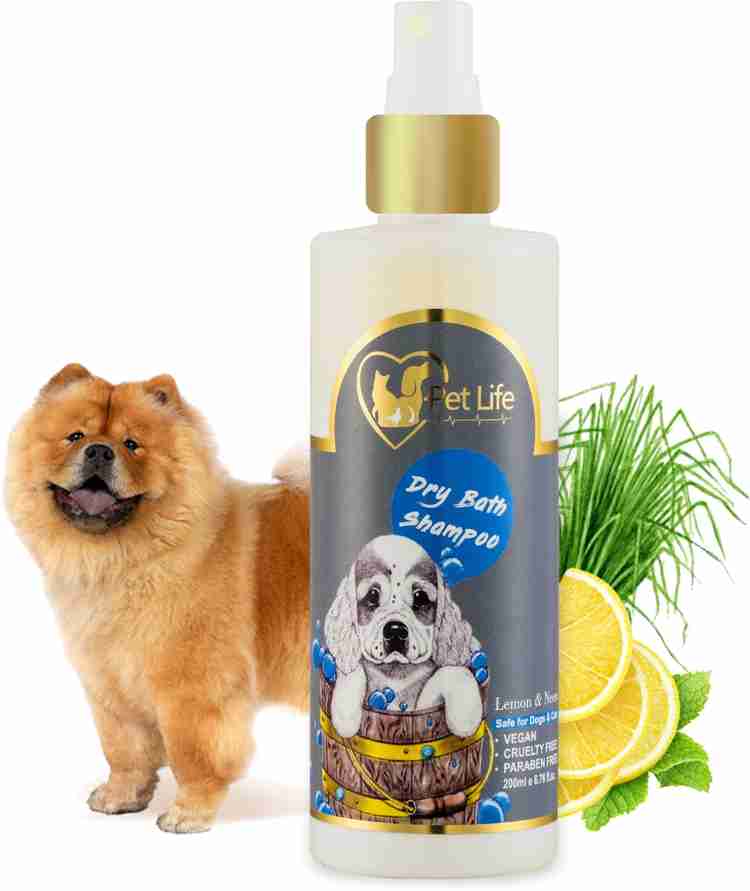 Shampoo for chow chow on sale