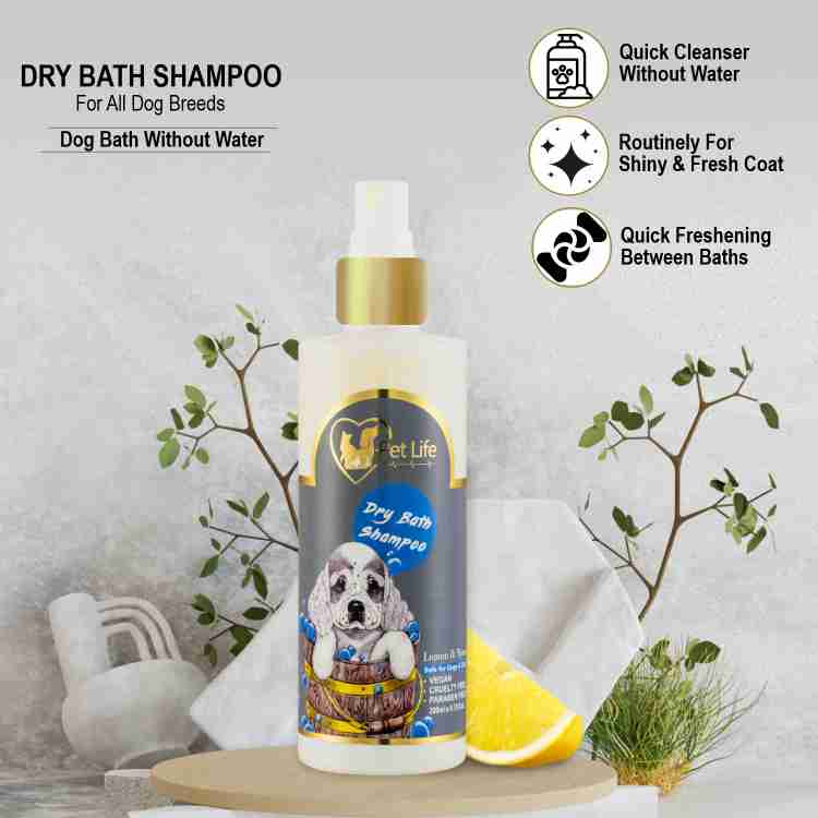 Labrador shampoo top