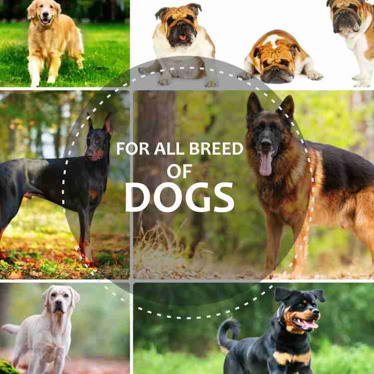 Dog body lotion sales