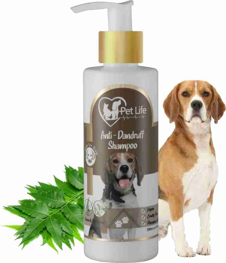 Dog dandruff outlet shampoo