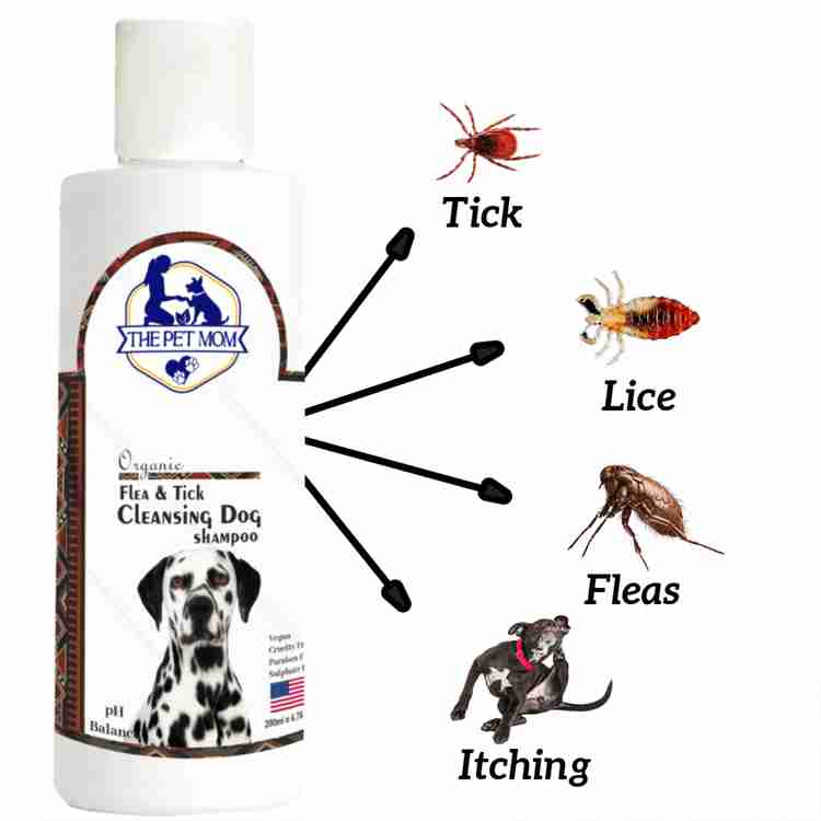 Homemade dog shampoo for fleas and ticks clearance
