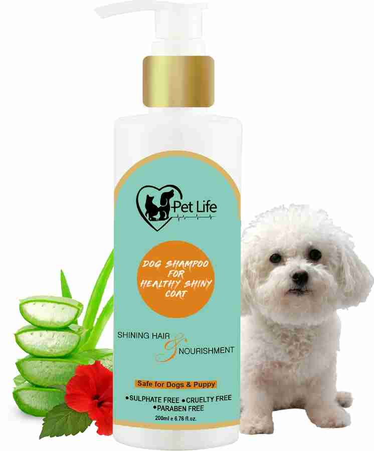 Pet Life Dog Shampoo for Bichon Frise Dog Puppy Healthy Shiny Coat Nourishing Hair Conditioning Fresh Fragrance Healthy Coat Shiny Body Wash Natural Actives All Dog Breed Dog