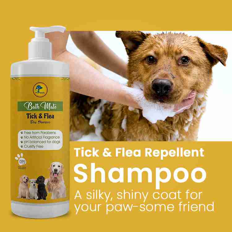 Flea shampoo for pregnant dogs top