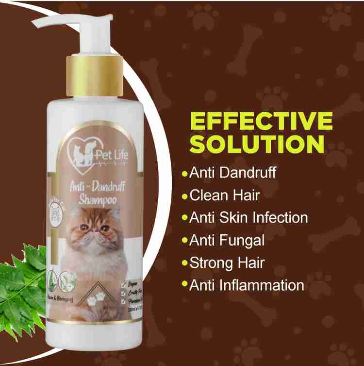 Anti dandruff cheap shampoo for cats