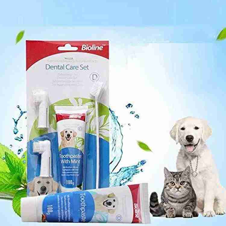 Mint flavored dog toothpaste sales
