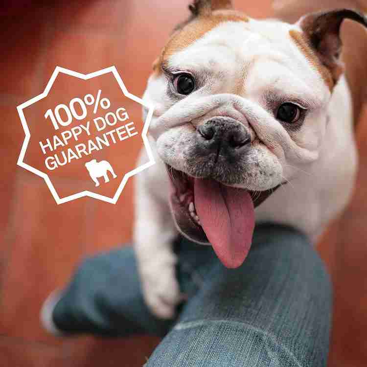 Mint flavored dog toothpaste store