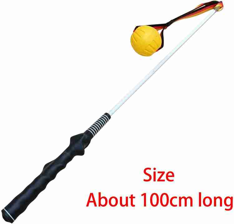 Lyla Flirt Pole for Dogs Heavy Duty Dog Teaser Wand for Exercise Chasing Training 100 Steel Soft Toy For Dog Cat Price in India Buy Lyla Flirt Pole for Dogs