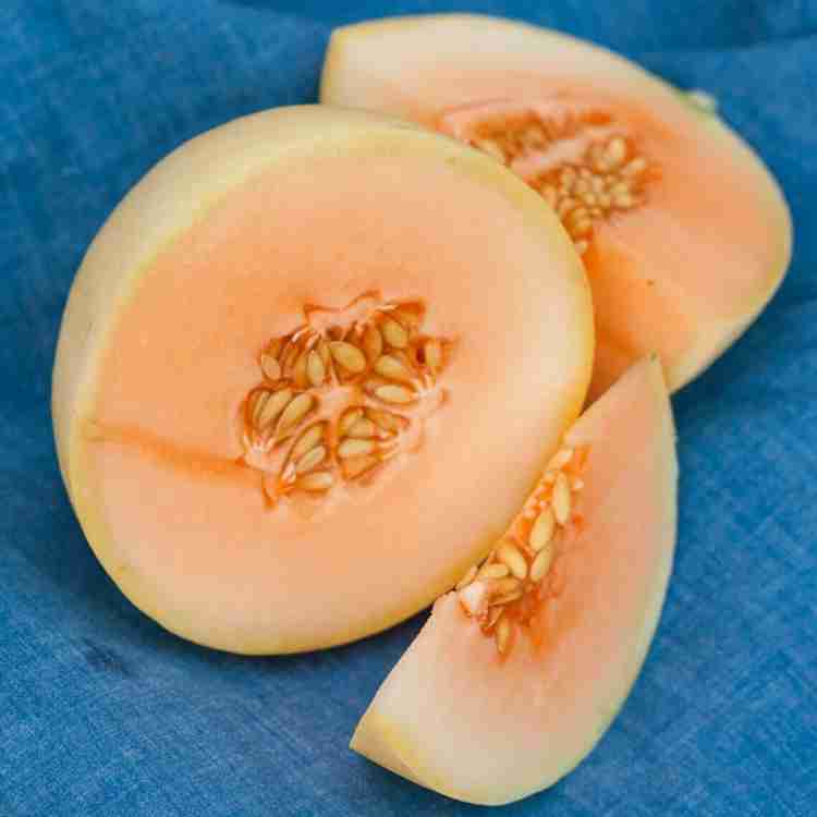 PLUSGREEN Organic Orange Flesh Honeydew Melon Seed Price in India