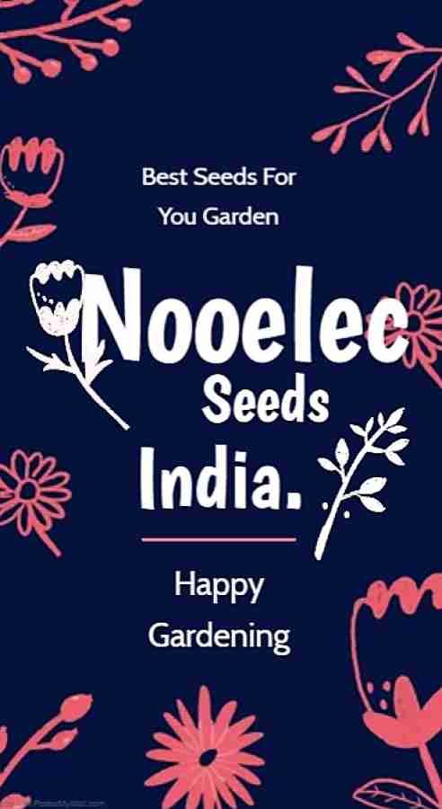 NooElec Seeds India Mixed Peony Seeds Easy to Plant Home Outdoor- Pack of  30 Seed Price in India - Buy NooElec Seeds India Mixed Peony Seeds Easy to  Plant Home Outdoor- Pack