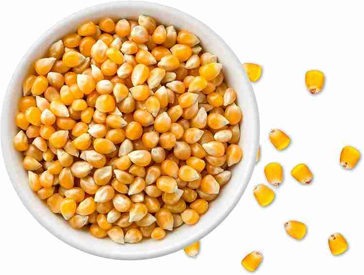 FreshTrain Popcorn Kernel Seeds Big Size Pop Corn Extra Soft Makki Makka 100 Popped Soft Popcorn