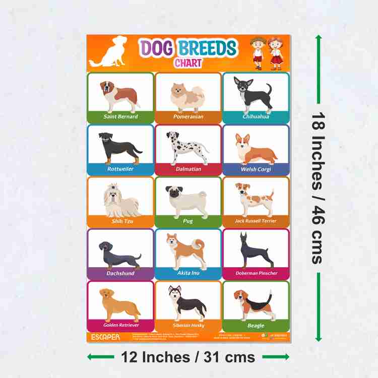 Large dog breed chart discount