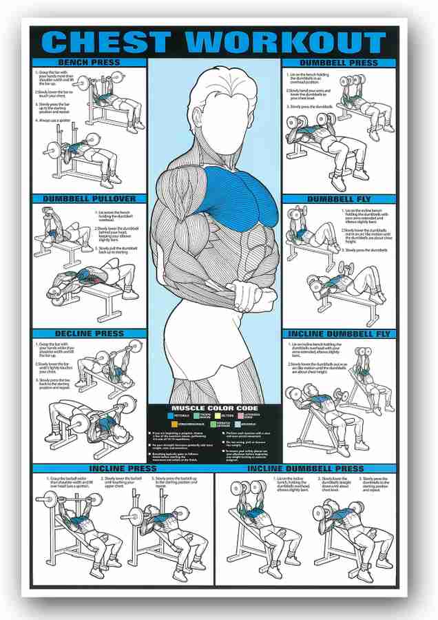 Full chest exercise 2025