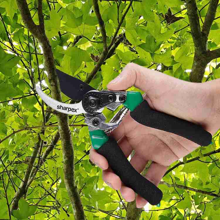 Sharpex top tree pruner