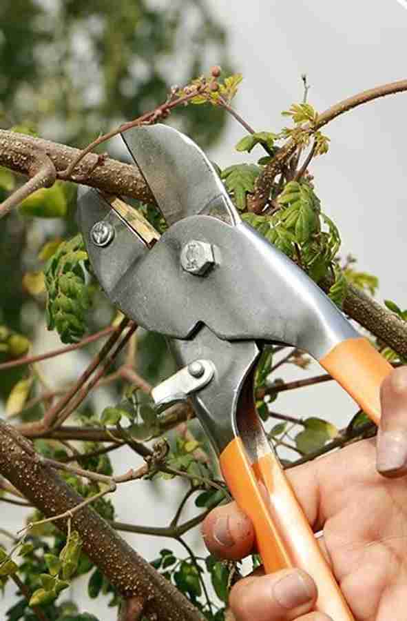 Garden plant clearance cutter