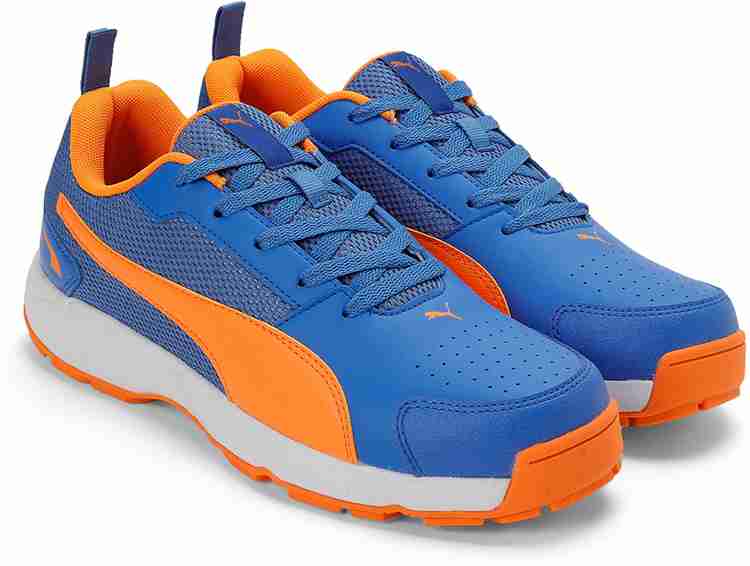 Puma cricket shoes best sale flipkart