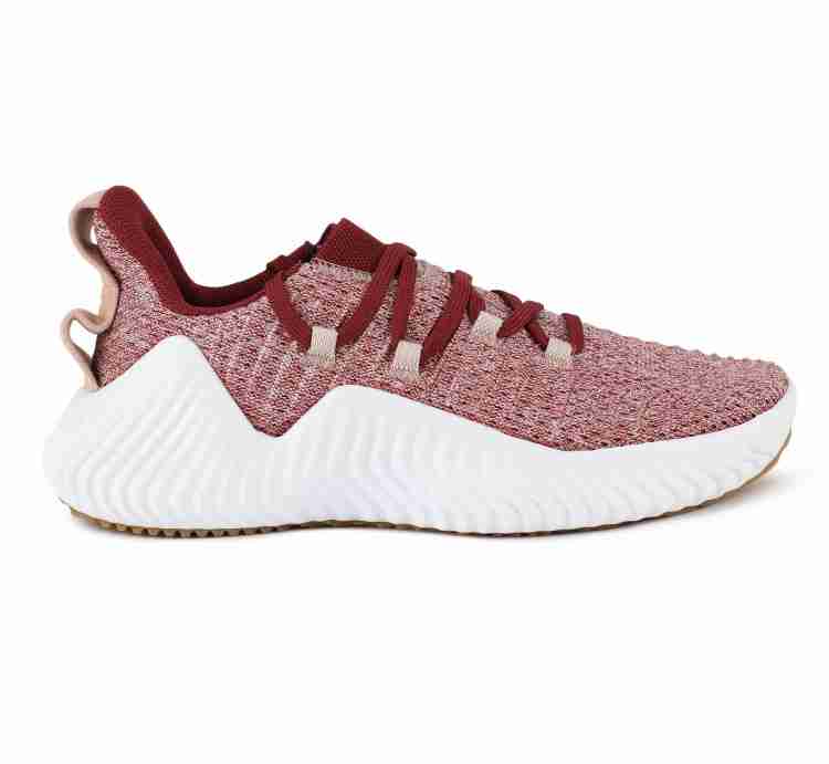 Adidas alphabounce maroon best sale