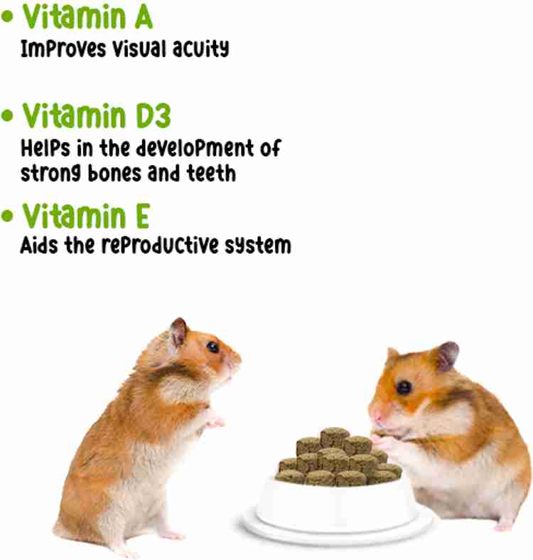 Chinese hamster food online
