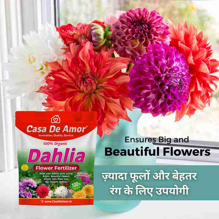 Dahlia fertilizer sales