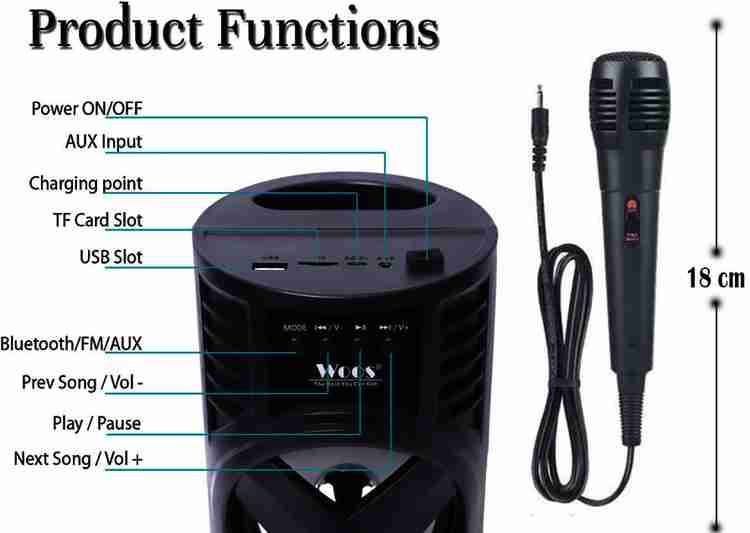 The best sale karaoke speaker