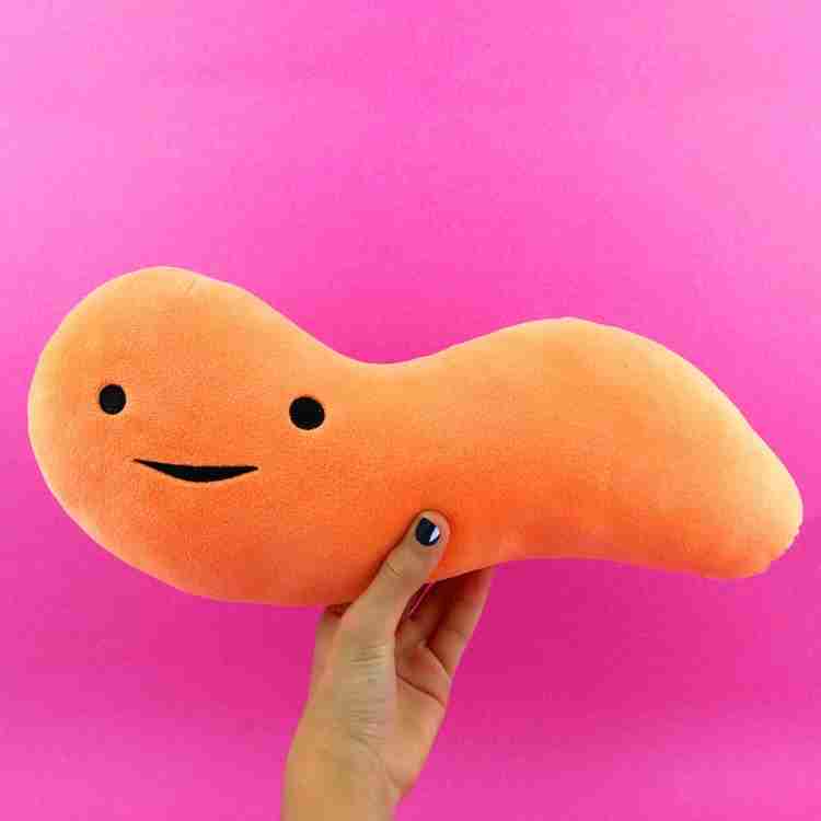 Appendix stuffed animal best sale